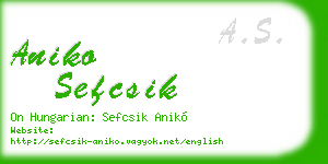 aniko sefcsik business card